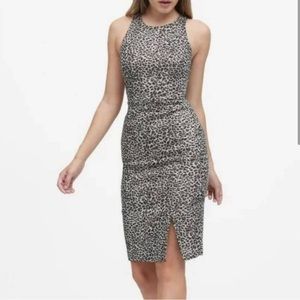 Banana Republic Metallic Snow Leopard Midi Sheath Dress